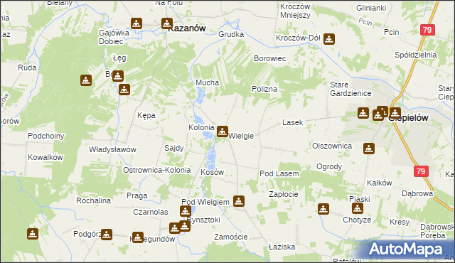 mapa Wielgie gmina Ciepielów, Wielgie gmina Ciepielów na mapie Targeo