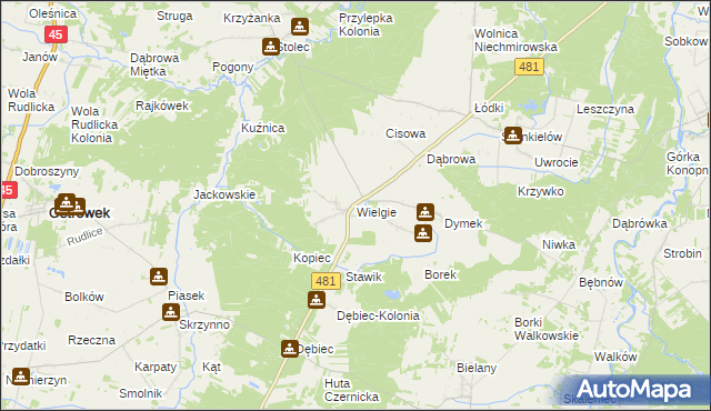 mapa Wielgie gmina Ostrówek, Wielgie gmina Ostrówek na mapie Targeo