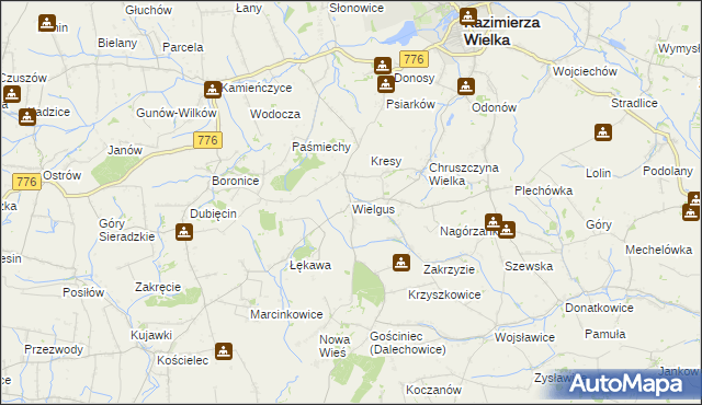 mapa Wielgus, Wielgus na mapie Targeo