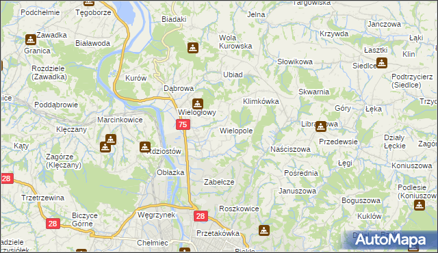 mapa Wielopole gmina Chełmiec, Wielopole gmina Chełmiec na mapie Targeo