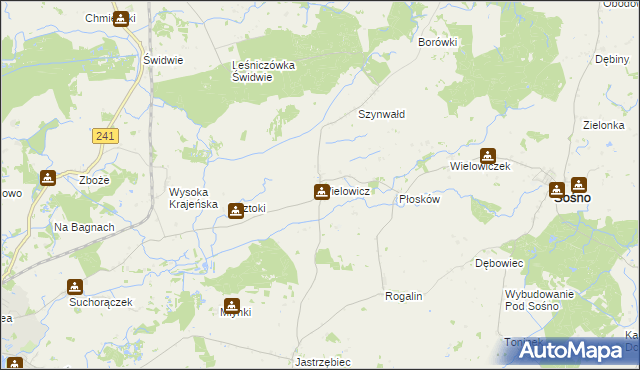 mapa Wielowicz, Wielowicz na mapie Targeo