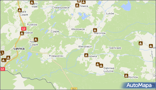 mapa Wierzbięcin gmina Trzebiel, Wierzbięcin gmina Trzebiel na mapie Targeo