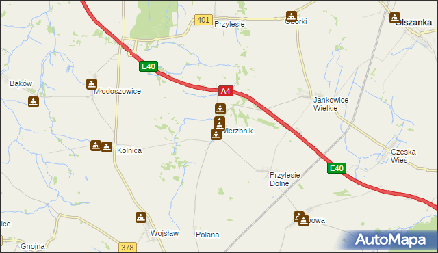 mapa Wierzbnik gmina Grodków, Wierzbnik gmina Grodków na mapie Targeo