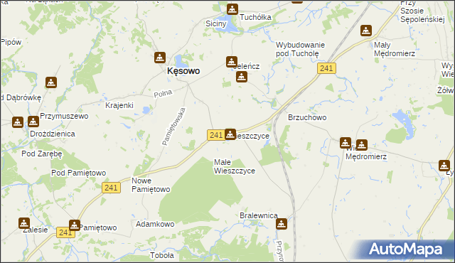 mapa Wieszczyce gmina Kęsowo, Wieszczyce gmina Kęsowo na mapie Targeo