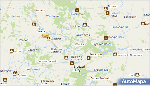 mapa Winnica gmina Brudzeń Duży, Winnica gmina Brudzeń Duży na mapie Targeo