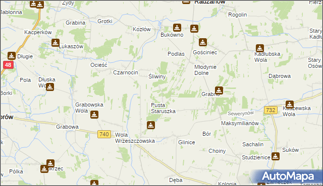 mapa Witoldów gmina Przytyk, Witoldów gmina Przytyk na mapie Targeo