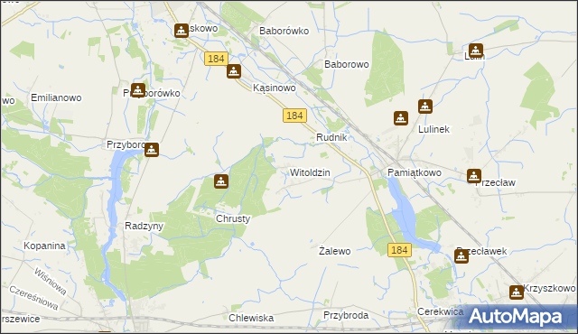 mapa Witoldzin gmina Szamotuły, Witoldzin gmina Szamotuły na mapie Targeo