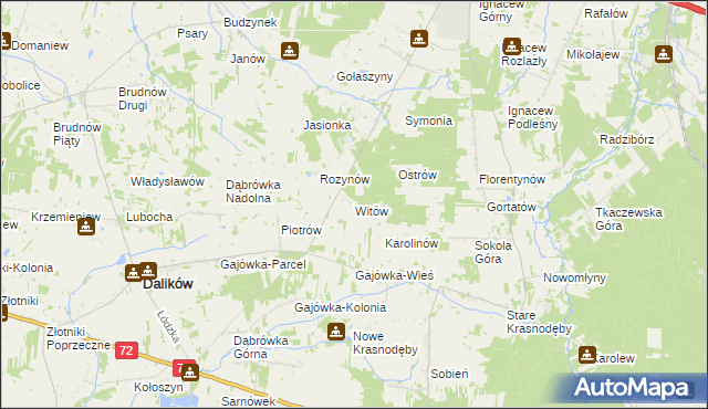 mapa Witów gmina Dalików, Witów gmina Dalików na mapie Targeo
