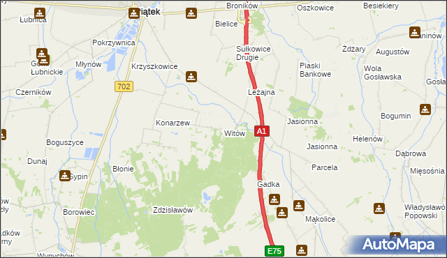 mapa Witów gmina Piątek, Witów gmina Piątek na mapie Targeo