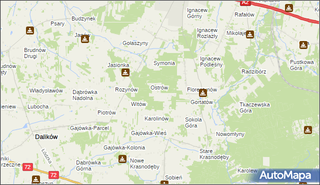 mapa Włodzimierzów gmina Dalików, Włodzimierzów gmina Dalików na mapie Targeo