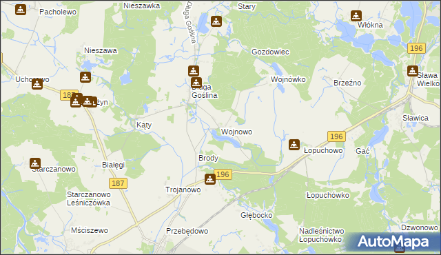 mapa Wojnowo gmina Murowana Goślina, Wojnowo gmina Murowana Goślina na mapie Targeo