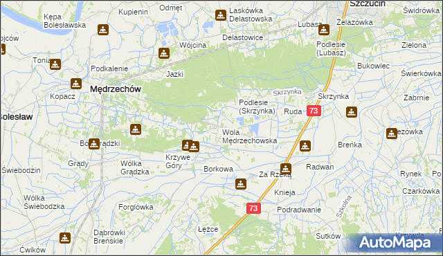 mapa Wola Mędrzechowska, Wola Mędrzechowska na mapie Targeo