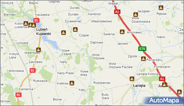 mapa Wola Olszowa, Wola Olszowa na mapie Targeo