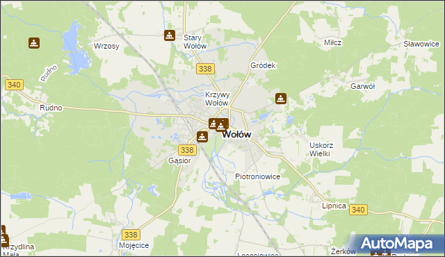 mapa Wołów, Wołów na mapie Targeo