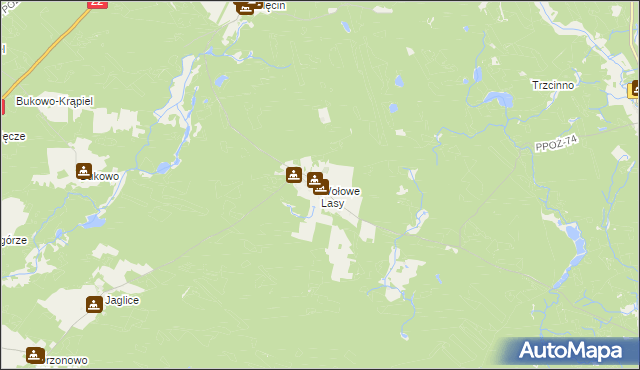 mapa Wołowe Lasy, Wołowe Lasy na mapie Targeo