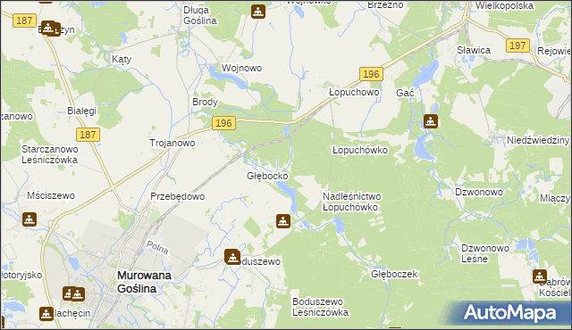 mapa Worowo gmina Murowana Goślina, Worowo gmina Murowana Goślina na mapie Targeo