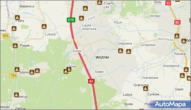 mapa Woźniki powiat lubliniecki, Woźniki powiat lubliniecki na mapie Targeo
