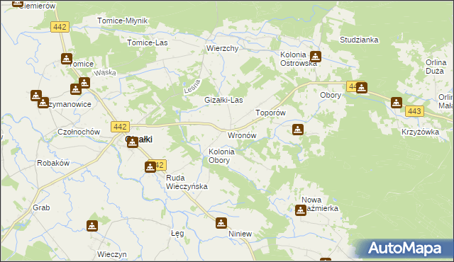 mapa Wronów gmina Gizałki, Wronów gmina Gizałki na mapie Targeo