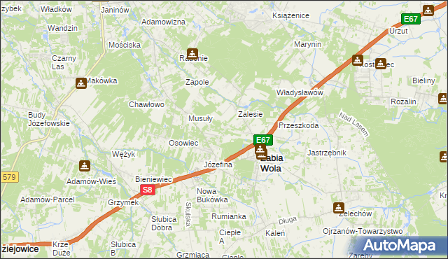 mapa Wycinki Osowskie, Wycinki Osowskie na mapie Targeo