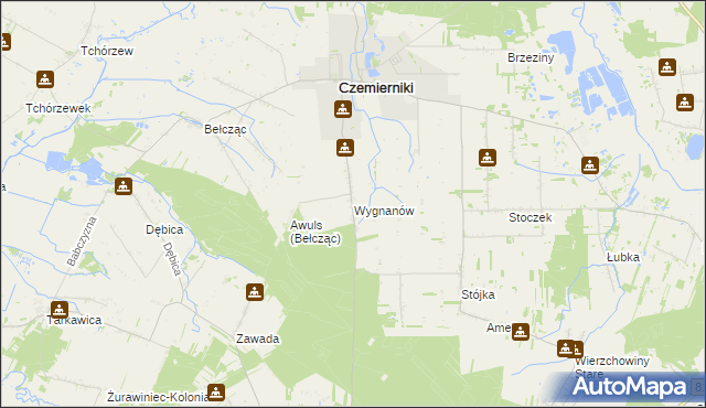 mapa Wygnanów gmina Czemierniki, Wygnanów gmina Czemierniki na mapie Targeo