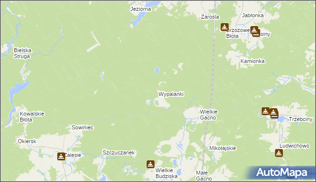 mapa Wypalanki gmina Śliwice, Wypalanki gmina Śliwice na mapie Targeo