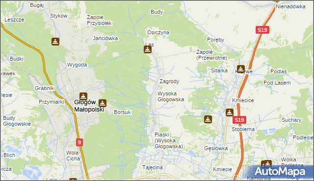 mapa Wysoka Głogowska, Wysoka Głogowska na mapie Targeo