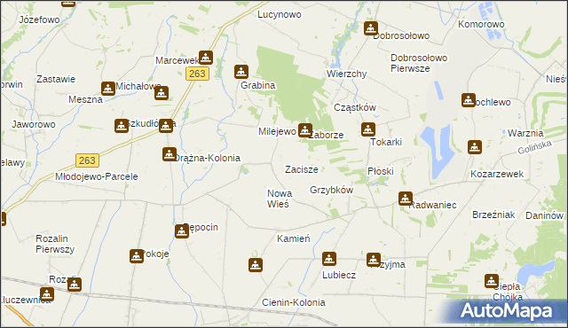 mapa Zacisze gmina Słupca, Zacisze gmina Słupca na mapie Targeo