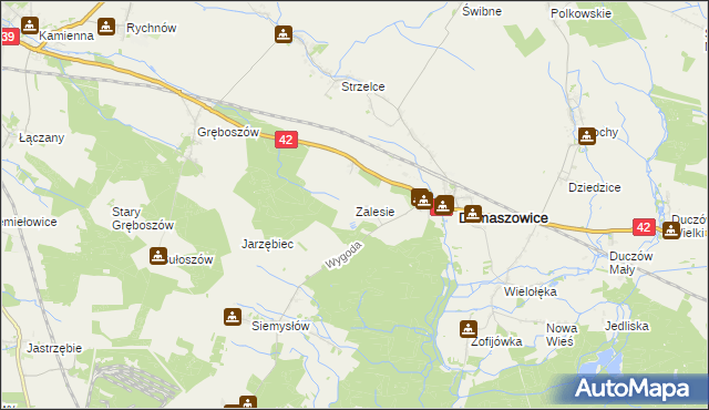 mapa Zalesie gmina Domaszowice, Zalesie gmina Domaszowice na mapie Targeo