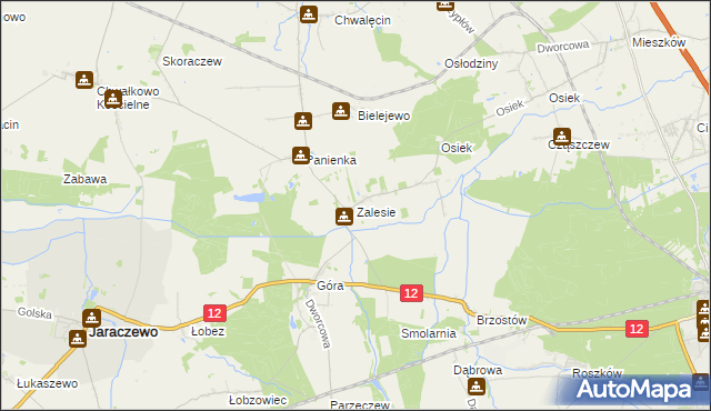 mapa Zalesie gmina Jaraczewo, Zalesie gmina Jaraczewo na mapie Targeo