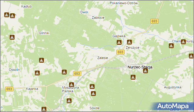 mapa Zalesie gmina Nurzec-Stacja, Zalesie gmina Nurzec-Stacja na mapie Targeo