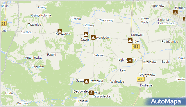 mapa Zalesie gmina Zelów, Zalesie gmina Zelów na mapie Targeo