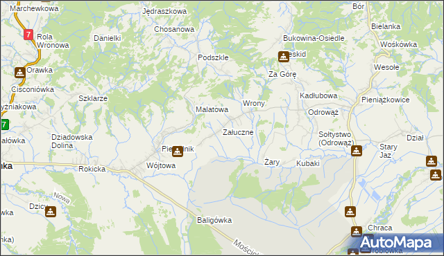 mapa Załuczne, Załuczne na mapie Targeo