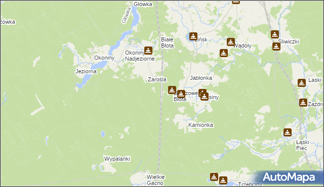 mapa Zarośle gmina Śliwice, Zarośle gmina Śliwice na mapie Targeo