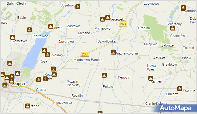 mapa Żelazków gmina Słupca, Żelazków gmina Słupca na mapie Targeo