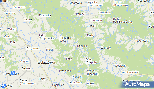mapa Rzepnik, Rzepnik na mapie Targeo