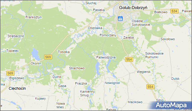 mapa Paliwodzizna, Paliwodzizna na mapie Targeo