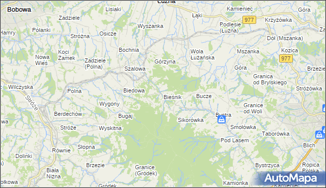 mapa Bieśnik gmina Łużna, Bieśnik gmina Łużna na mapie Targeo