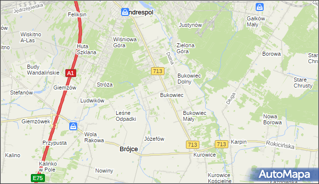 mapa Bukowiec gmina Brójce, Bukowiec gmina Brójce na mapie Targeo