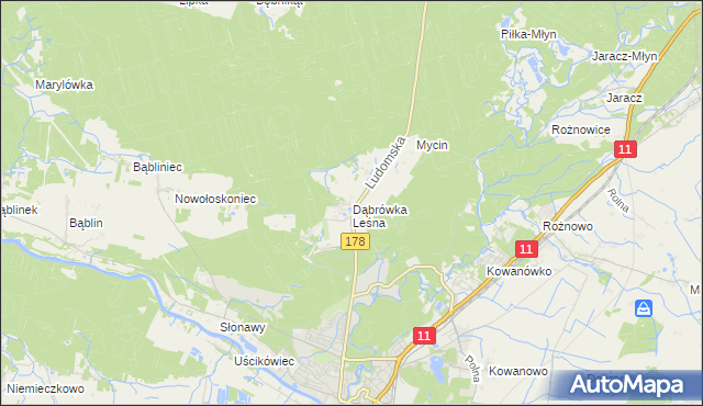 mapa Dąbrówka Leśna, Dąbrówka Leśna na mapie Targeo
