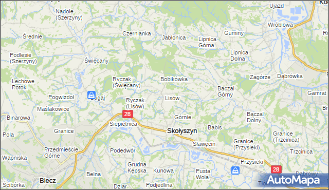 mapa Lisów gmina Skołyszyn, Lisów gmina Skołyszyn na mapie Targeo