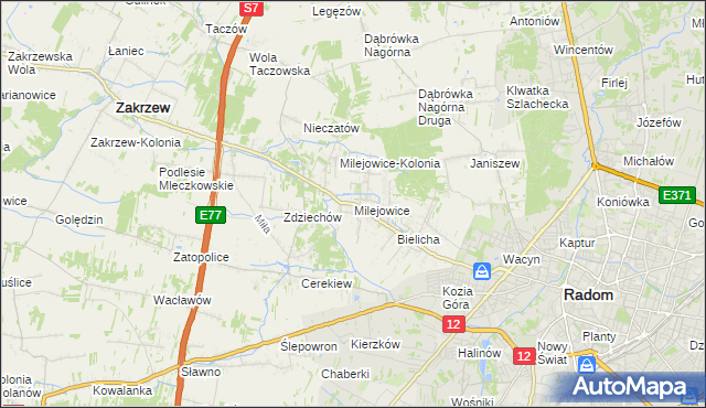 mapa Milejowice gmina Zakrzew, Milejowice gmina Zakrzew na mapie Targeo