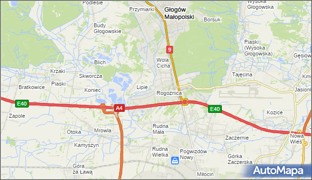 mapa Rogoźnica gmina Głogów Małopolski, Rogoźnica gmina Głogów Małopolski na mapie Targeo