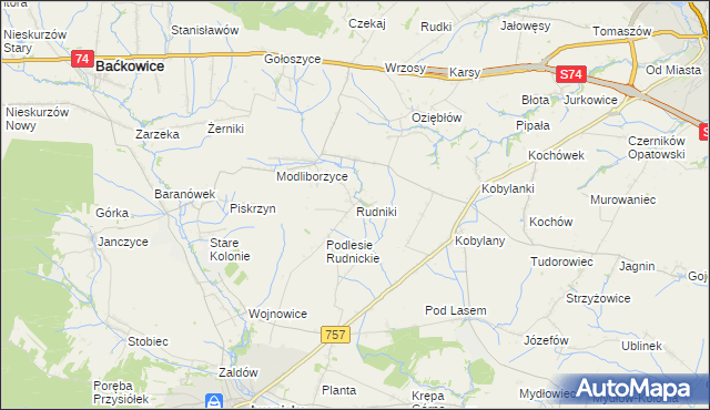 mapa Rudniki gmina Baćkowice, Rudniki gmina Baćkowice na mapie Targeo