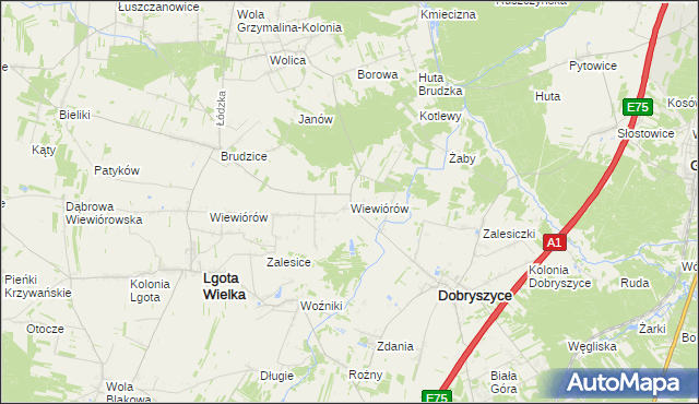 mapa Wiewiórów gmina Dobryszyce, Wiewiórów gmina Dobryszyce na mapie Targeo