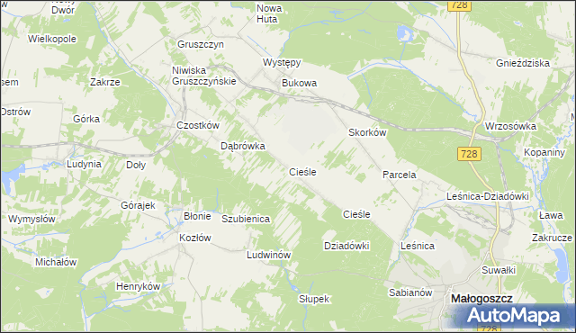 mapa Cieśle gmina Krasocin, Cieśle gmina Krasocin na mapie Targeo