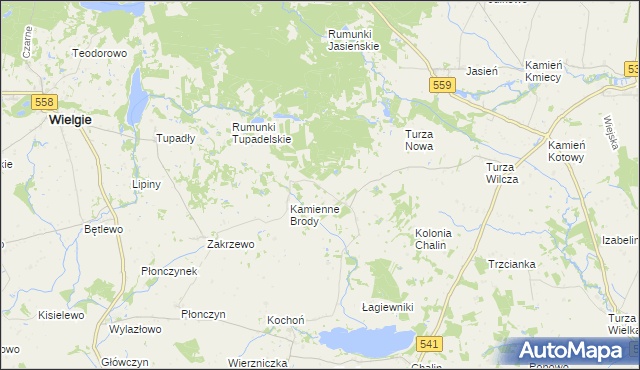 mapa Borowo gmina Tłuchowo, Borowo gmina Tłuchowo na mapie Targeo