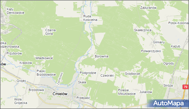 mapa Borownia, Borownia na mapie Targeo