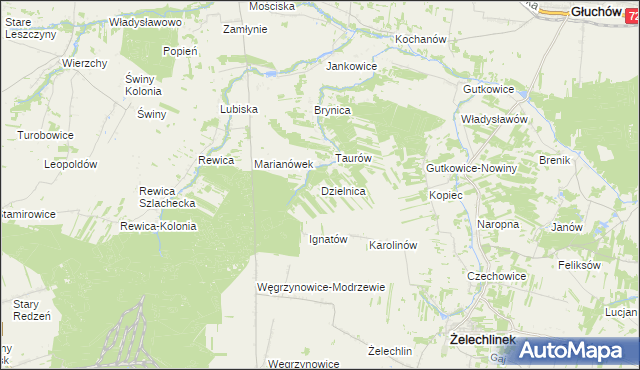 mapa Dzielnica gmina Żelechlinek, Dzielnica gmina Żelechlinek na mapie Targeo