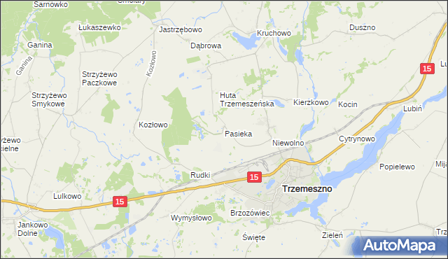 mapa Pasieka gmina Trzemeszno, Pasieka gmina Trzemeszno na mapie Targeo
