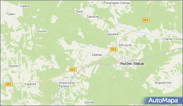 mapa Zalesie gmina Nurzec-Stacja, Zalesie gmina Nurzec-Stacja na mapie Targeo